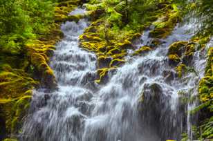 Proxy Falls-0212.jpg Proxy Falls-0212.jpg